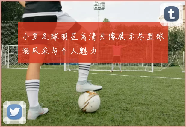 小罗足球明星高清头像展示尽显球场风采与个人魅力
