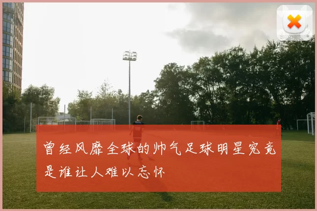 曾经风靡全球的帅气足球明星究竟是谁让人难以忘怀