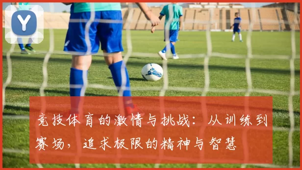 竞技体育的激情与挑战：从训练到赛场，追求极限的精神与智慧