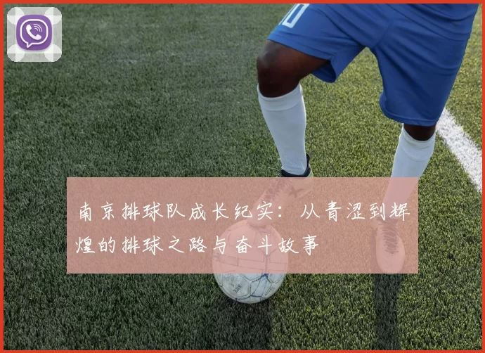 南京排球队成长纪实：从青涩到辉煌的排球之路与奋斗故事
