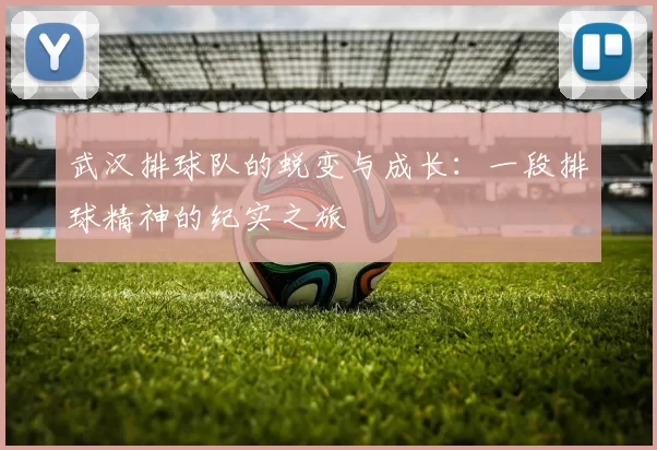 武汉排球队的蜕变与成长：一段排球精神的纪实之旅
