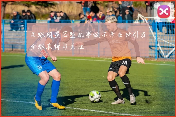 足球明星因坠机事故不幸去世引发全球哀悼与关注