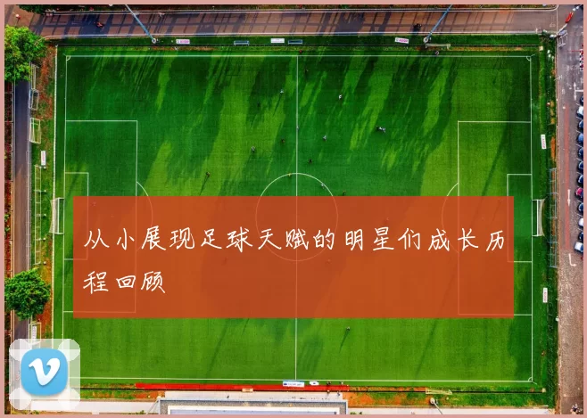 从小展现足球天赋的明星们成长历程回顾
