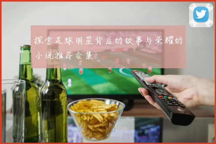探索足球明星背后的故事与荣耀的小说推荐合集