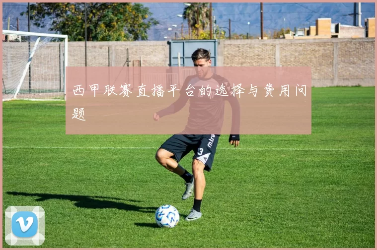 西甲联赛直播平台的选择与费用问题