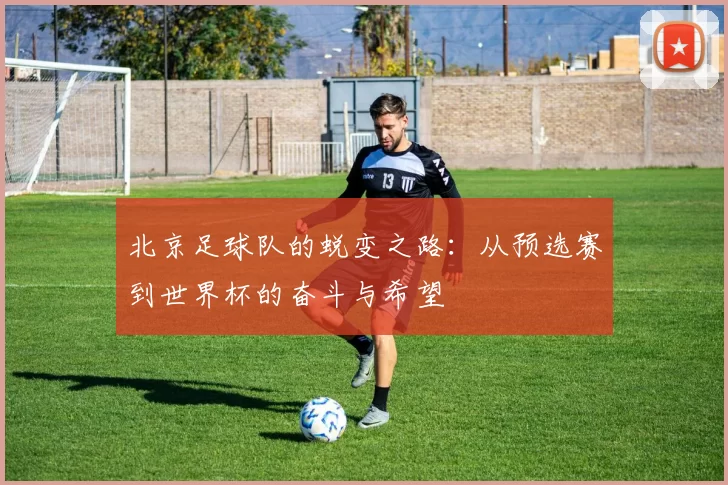 北京足球队的蜕变之路：从预选赛到世界杯的奋斗与希望