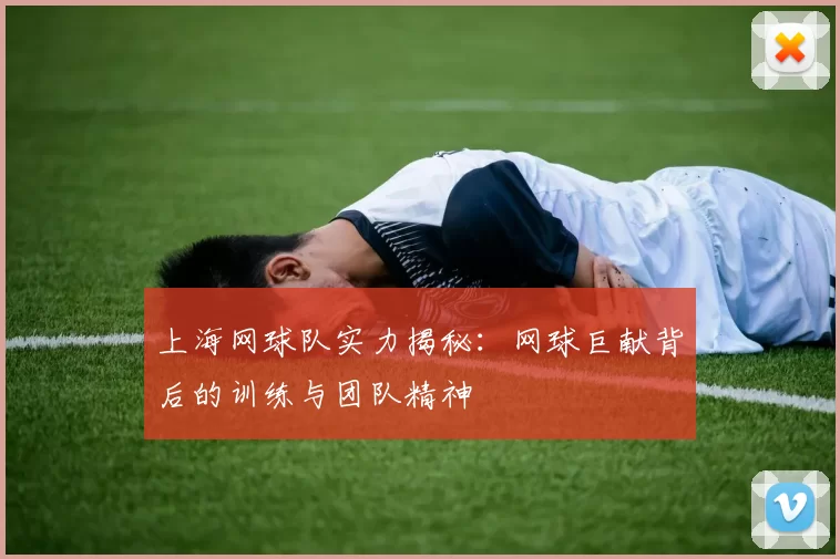 上海网球队实力揭秘：网球巨献背后的训练与团队精神