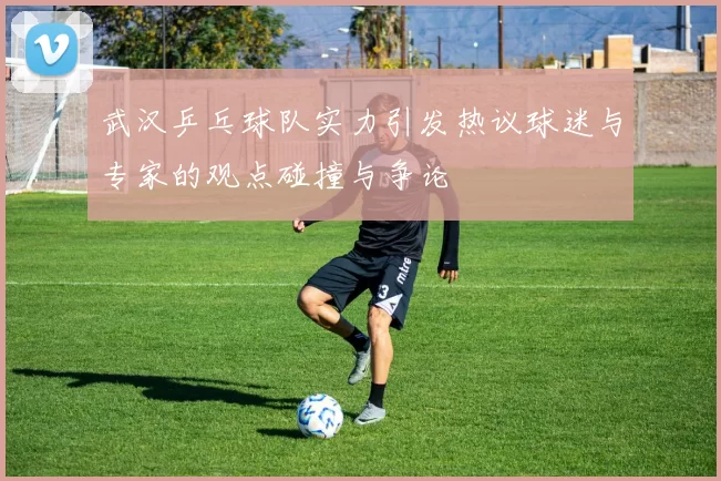 武汉乒乓球队实力引发热议球迷与专家的观点碰撞与争论