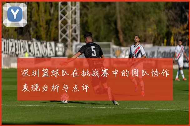 深圳篮球队在挑战赛中的团队协作表现分析与点评