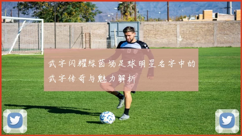 武字闪耀绿茵场足球明星名字中的武字传奇与魅力解析