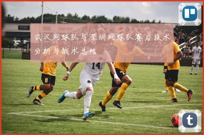 武汉网球队与深圳网球队赛后技术分析与战术总结