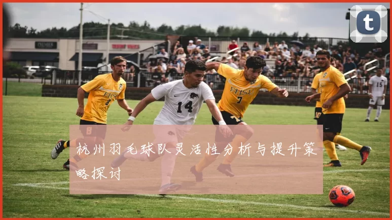 杭州羽毛球队灵活性分析与提升策略探讨