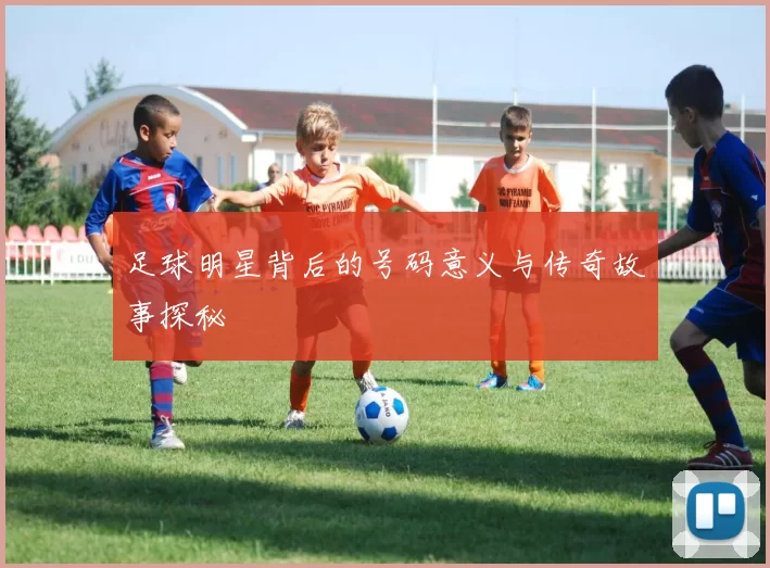 足球明星背后的号码意义与传奇故事探秘