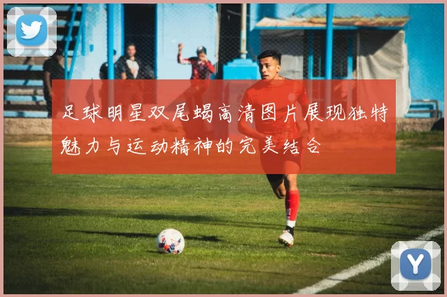 足球明星双尾蝎高清图片展现独特魅力与运动精神的完美结合