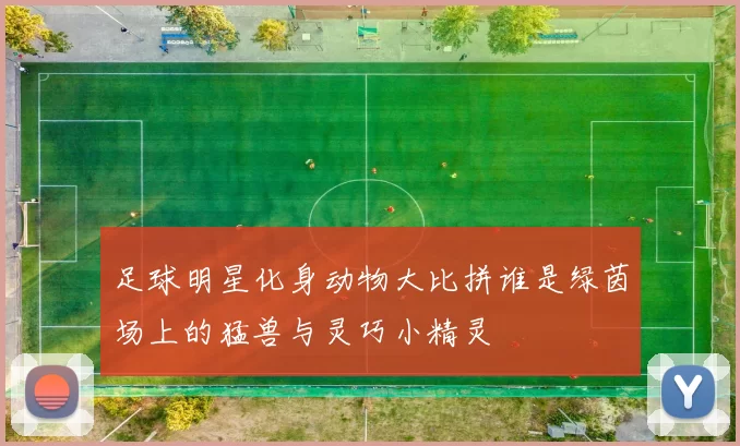 足球明星化身动物大比拼谁是绿茵场上的猛兽与灵巧小精灵