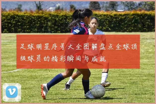 足球明星序号大全图解盘点全球顶级球员的精彩瞬间与成就