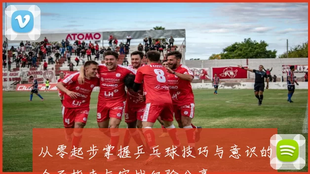 从零起步掌握乒乓球技巧与意识的全面指南与实战经验分享