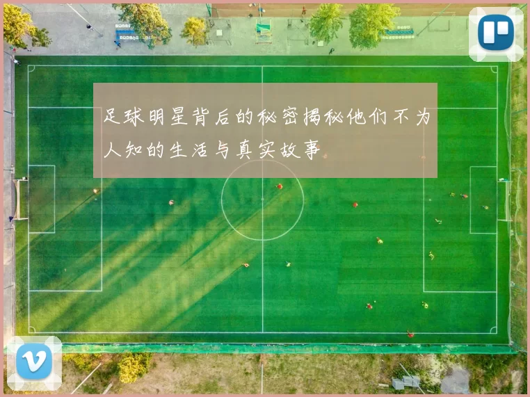 足球明星背后的秘密揭秘他们不为人知的生活与真实故事