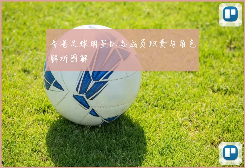 香港足球明星队各成员职责与角色解析图解