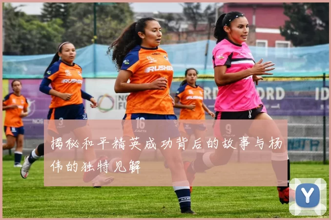 揭秘和平精英成功背后的故事与杨伟的独特见解