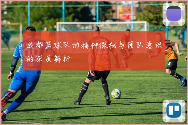成都篮球队的精神探秘与团队意识的深度解析