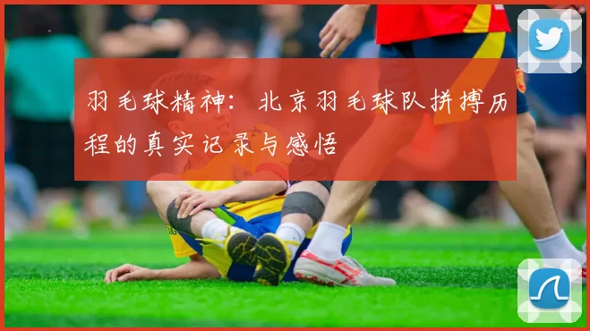 羽毛球精神：北京羽毛球队拼搏历程的真实记录与感悟