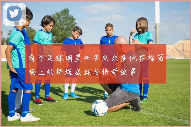 有个足球明星叫罗纳尔多他在绿茵场上的辉煌成就与传奇故事