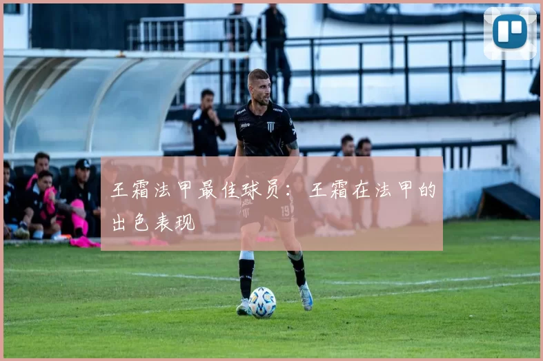 王霜法甲最佳球员：王霜在法甲的出色表现