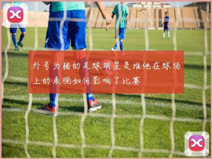 外号为猪的足球明星是谁他在球场上的表现如何影响了比赛