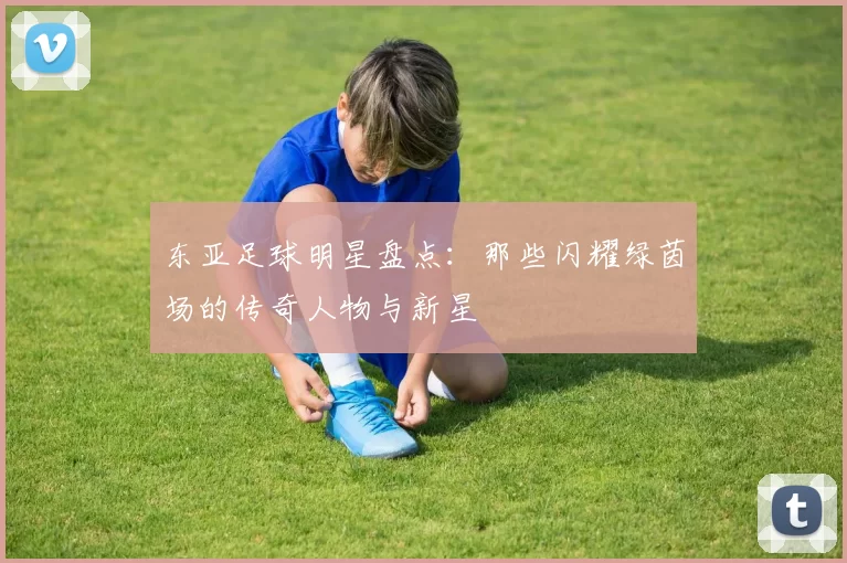 东亚足球明星盘点：那些闪耀绿茵场的传奇人物与新星