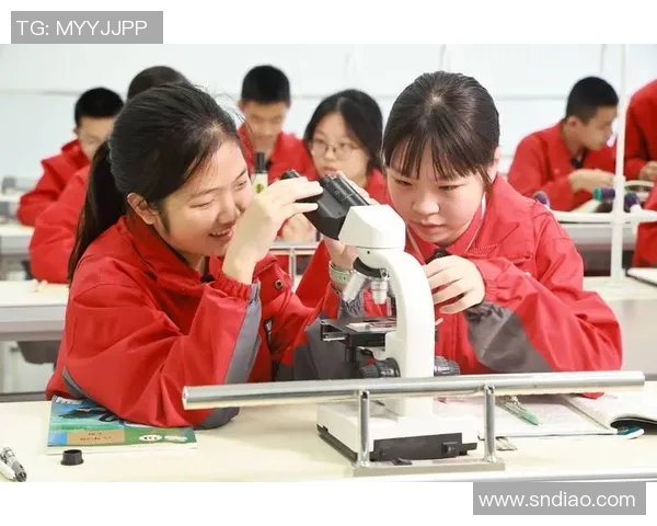 教育引领未来：培养创新思维与实践能力的新时代教育模式探讨