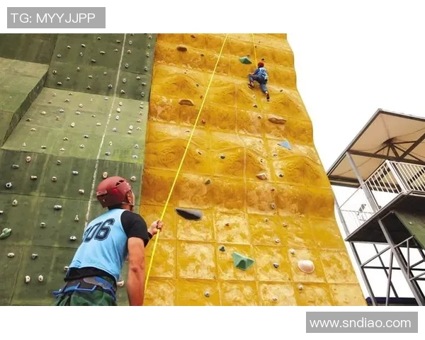 南京攀岩队个人能力分析与提升策略探讨之旅